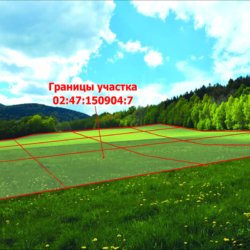 Кадастровый учет Кадастровый учет